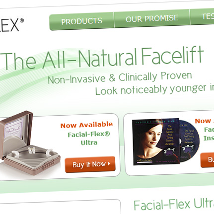Facial Flex: Web Architecture